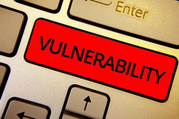 how-to-understand-the-meaning-of-vulnerabilities-0